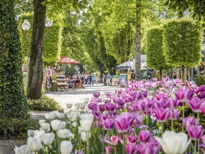 Fußgängerzone in Bad Reichenhall im Frühling mit Blumen